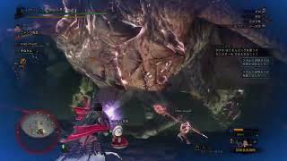 【MHWIB】ムフェトジーヴァ1撃全部位破壊討伐【どむちゃんみゅー】