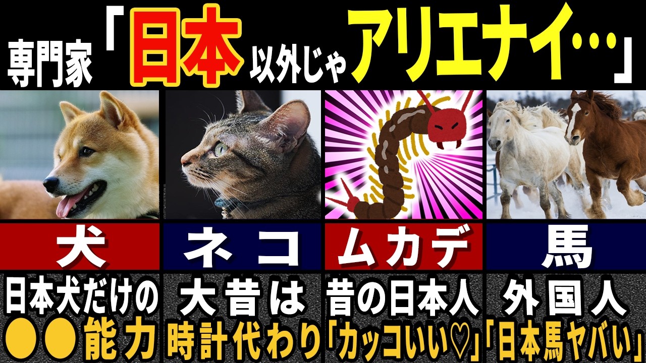 歴史研究者「日本だけペット扱いしてない…！」外国人すら目を疑った日本の戦国時代の生き物の真実７選【ゆっくり解説】【海外の反応】
