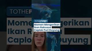 Viral Detik-detik Ikan Raksasa 'Caplok' Kepala Pemeran Puri Duyung di China, Anak-anak Ketakutan