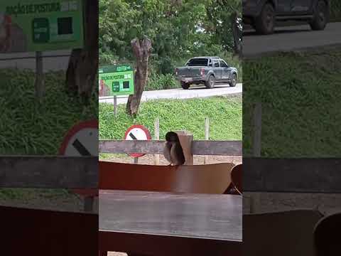 Panela de pedra #minasgerais #pedroleopoldo #yamaha #lander #lander250abs #xtz250