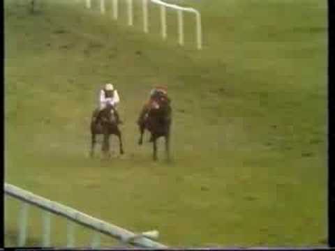 Monksfield 1979 Champion Hurdle
