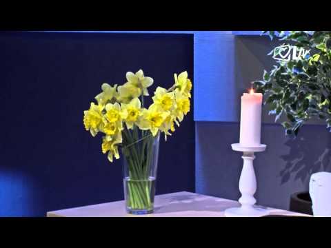 Razlog nade 3.4.2016.