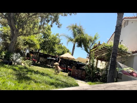 Saturday August 5th 2023 (Day 217/365)