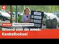 Het Twentse woord van de week: Keakelbokse!