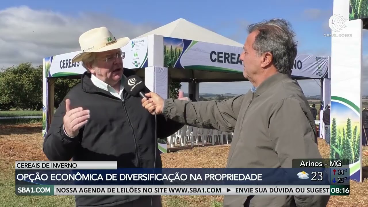 Dia de Campo traz variedades para cereais de inverno no Paraná