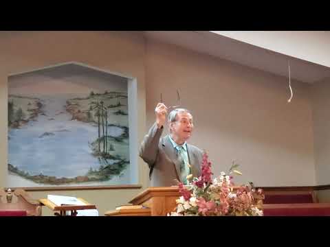 Hallelujah for the Millennium