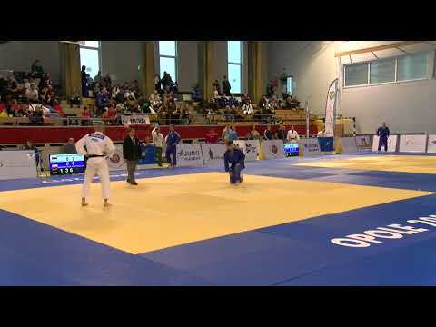 M. Garbacz - S. Tylek