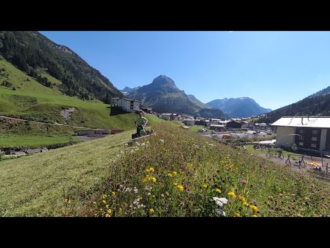 KW 31/2020 - Bauhof 60 Sekunden - Der Wochenrückblick