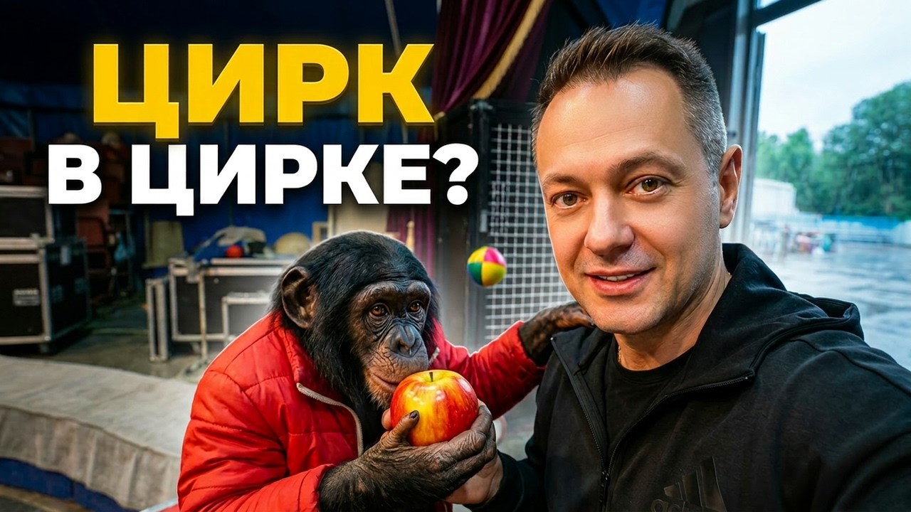 Возможен ли Цирк в Цирке Казахстана? Встреча с Шимпанзе Бонитой Дановной