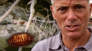 Tale of a Vicious Caiman Attack - River Monsters