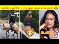 2024 மே மாதத்தில் நடந்த 150 காமெடி சம்பவங்கள் 😂|வ