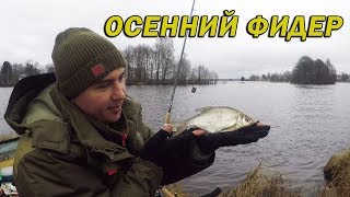 Ссылка