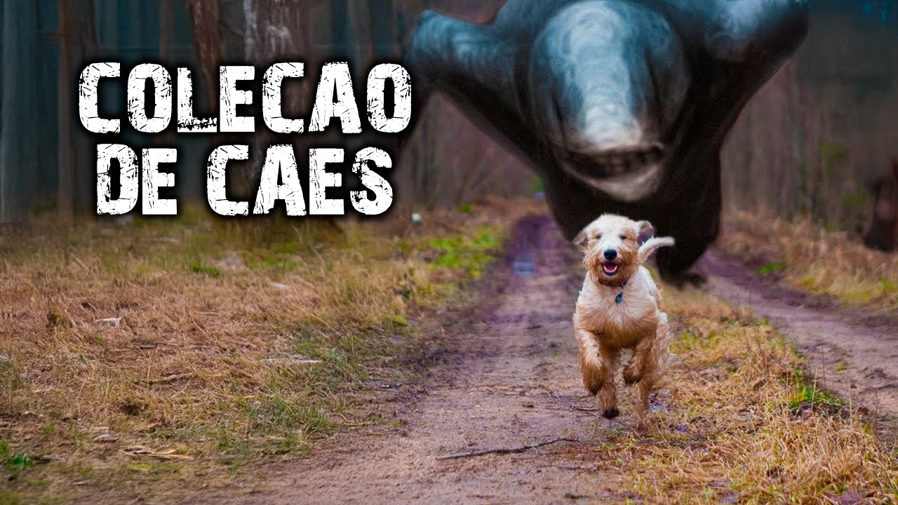 COLEÇÃO DE CÃES