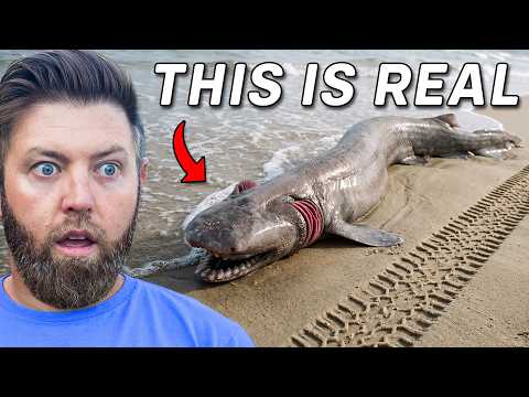 8 Terrifying Sea Creatures That Actually Exist