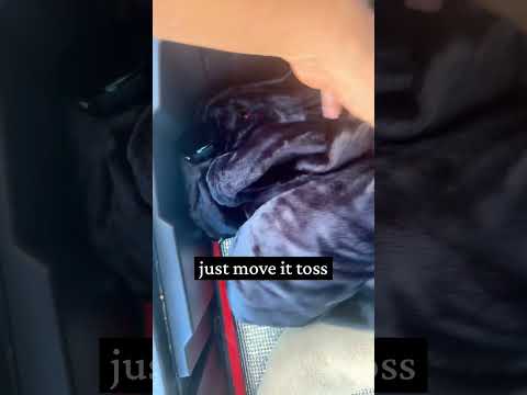 Customer video review