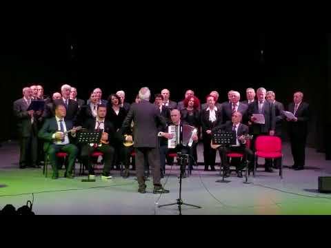 Kori Lira"Hena porsa ka dale#korilira#korce #serenate #albania