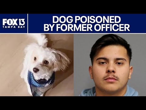 Dog poisoned by former police officer: HCSO