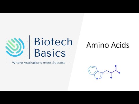 Amino Acids for NEET, GATE BT, JAM BT, DBT, CSIR-NET, BET