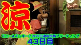 ミニー＆ミッキーと365日連続投稿グリーティング43日目〜涼しい〜