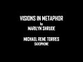 Visions in Metaphor by Marilyn Shrude