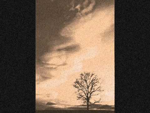 Biljana Petkovic - Zarudela sljiva ranka!