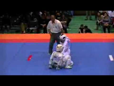 Kyokushin kaikan All Japan Tournament 2015