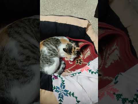 # delivery in my bedroom (1)