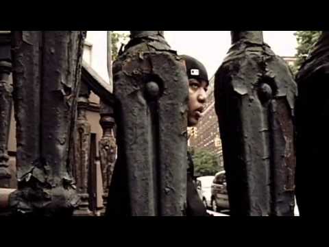 Skyzoo - The Beautiful Decay