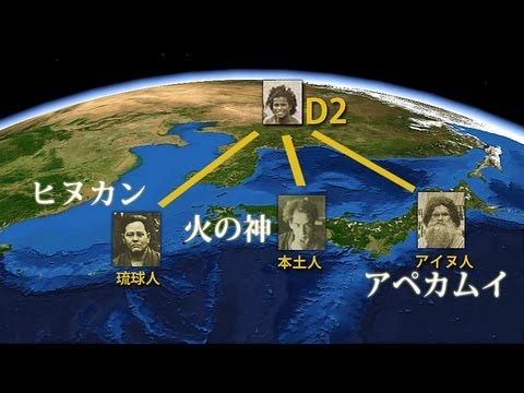 【遺伝子】琉球、本土、アイヌの祖先