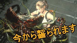 Momoninja Ryona أغاني Mp3 مجانا