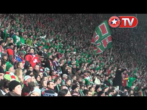 Wisła.TV: Jak w domu. Śląsk Wrocław - Wisła Kraków 0:1