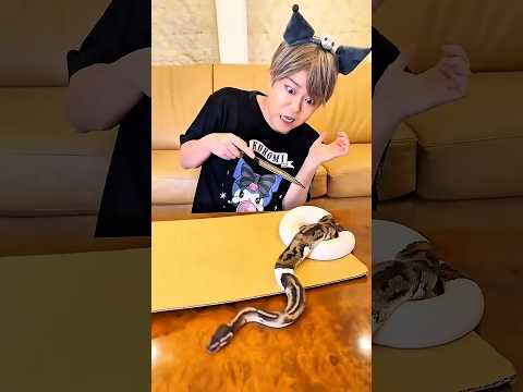 O Legume Virou uma Cobra!😱🥔🐍