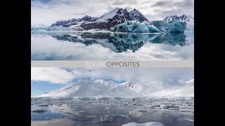 Polar Opposites Book general information and progress