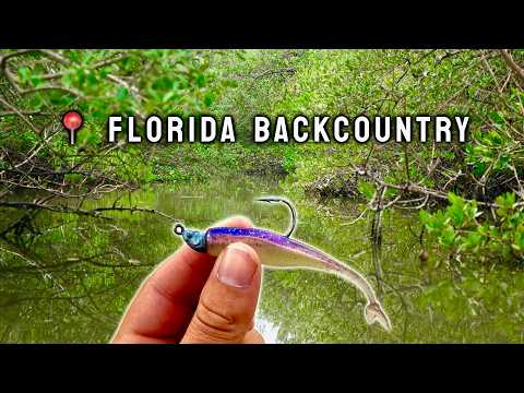 Winter Backcountry Fishing in SECRET Florida Creeks!