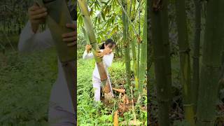Download lagu It’s the bamboo shoot season again #faming #bambooshoots #country #satisfying #rurallife #shorts mp3
