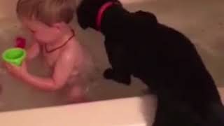 Puppy keeps jumping into toddler's bath