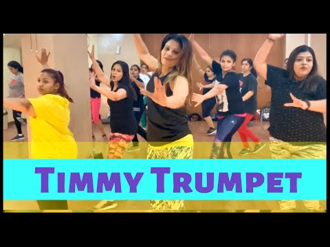 Timmy Trumpet ( Punjaby) ZUMBAfitness  #FWU #Urvitrehan
