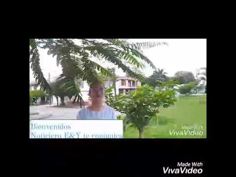 sistema de gestión de transporte TMS