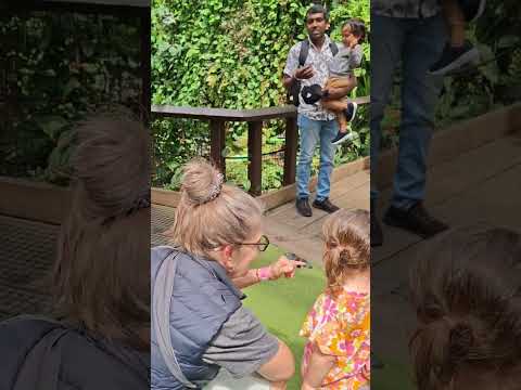 #shorts #youtubeshorts #youtube #newzealand