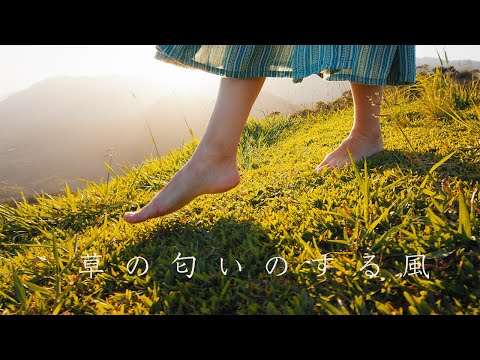 「農夫が妻を探しています」: 蝶が飛び立っていますが、どこにでもいるわけではありません