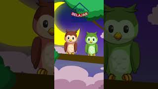 Download lagu Lagu Anak Burung Hantu mp3