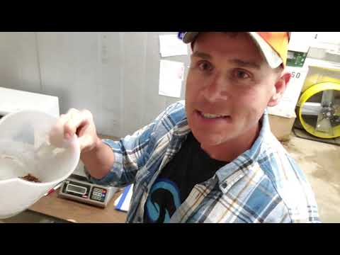 Fundamentals of Mushroom Cultivation- Figuring out Moisture Content