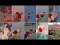 Hand Dpz With Gajra Fresh Flowers Gajra Dpz For Girls Beautiful Gajra Dpz For Girls Dpz