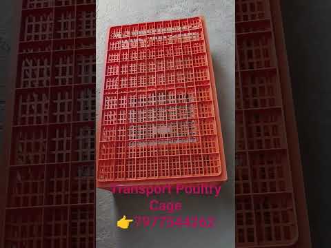 Plastic Poultry Transportation Cages