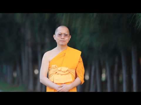 เพิ่มขึ้นในสมาชิกผึ้ง ความอ่อนแอ cocklebur