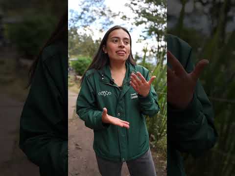 Salida pedagógica al Bioparque La Reserva en Cota.