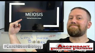 Meiosis
