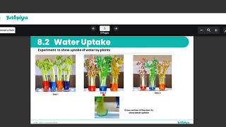 Water Uptake. ( Transport in plants.)