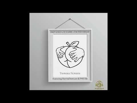 Drip Gogo, DJ Karri, Exceed Deejay - Tshwara Ngwana (Official Audio) Ft HarrisDontcare & FME Djs