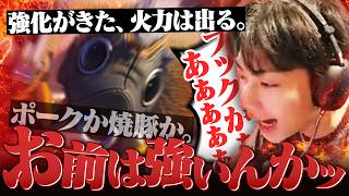 ホグが強化された...？使わないわけにはいかないよなぁ！？【オーバーウォッチ/OW】